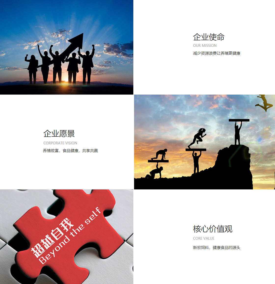亿博app(图1)